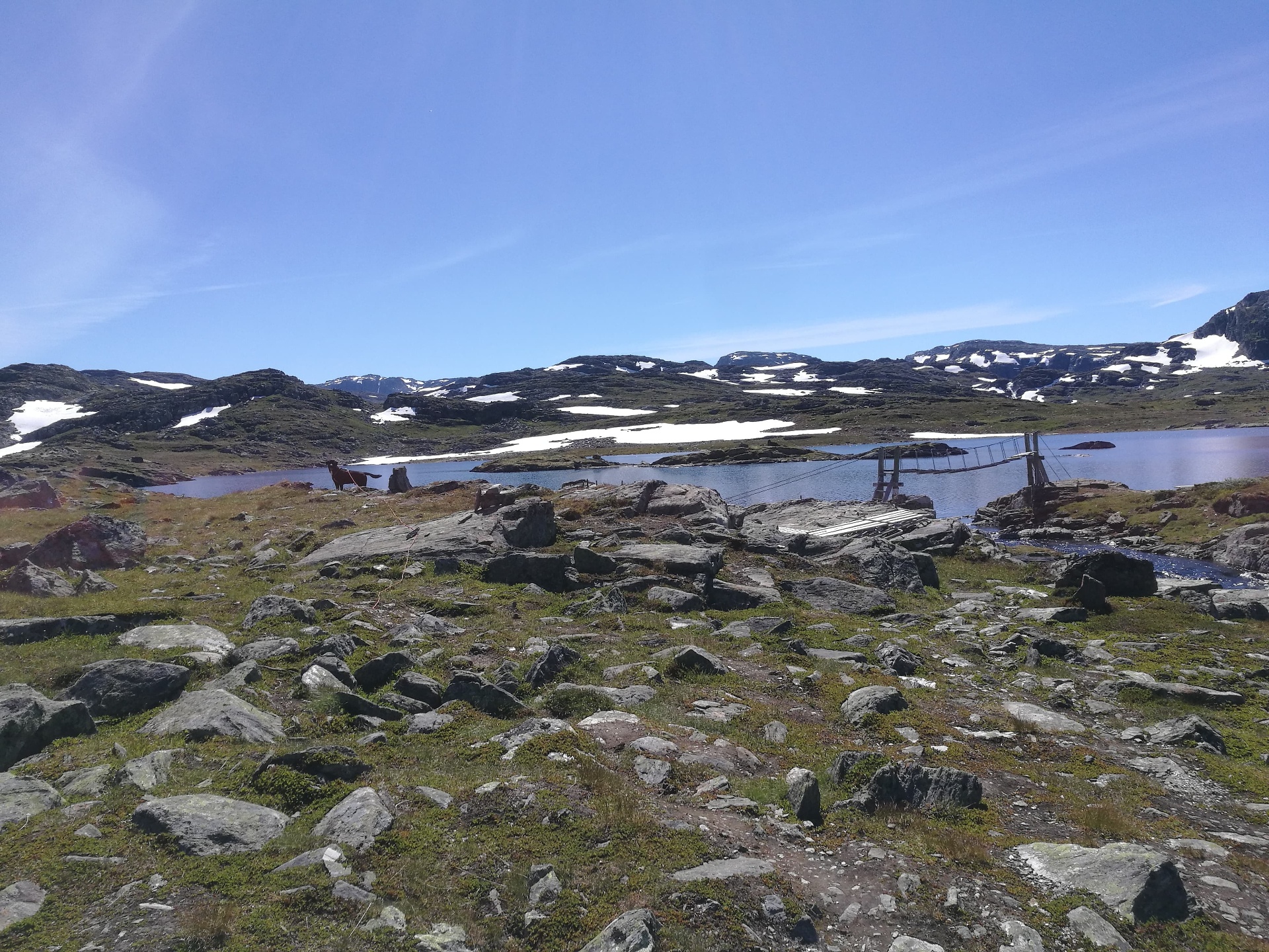 Hallingskarvet i Hol – lokal forankring i Hallingdal